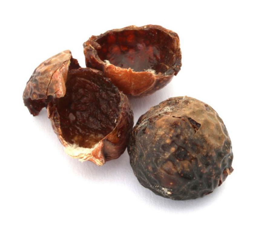 Buy soapnuts from Real Foods